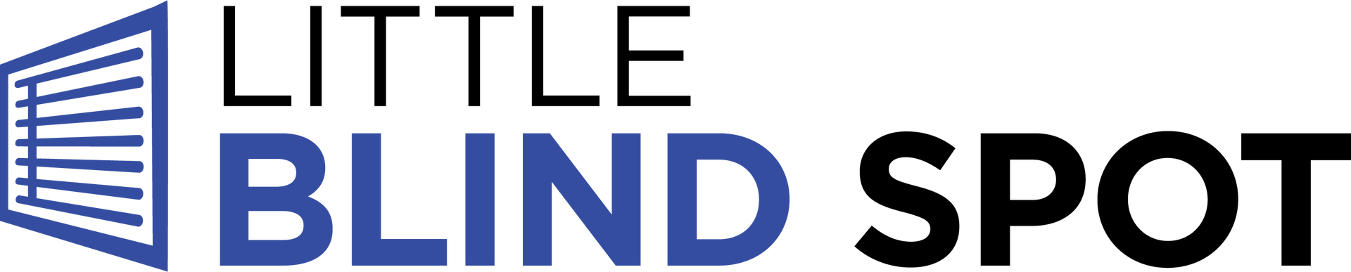 Little Blind Spot Logo