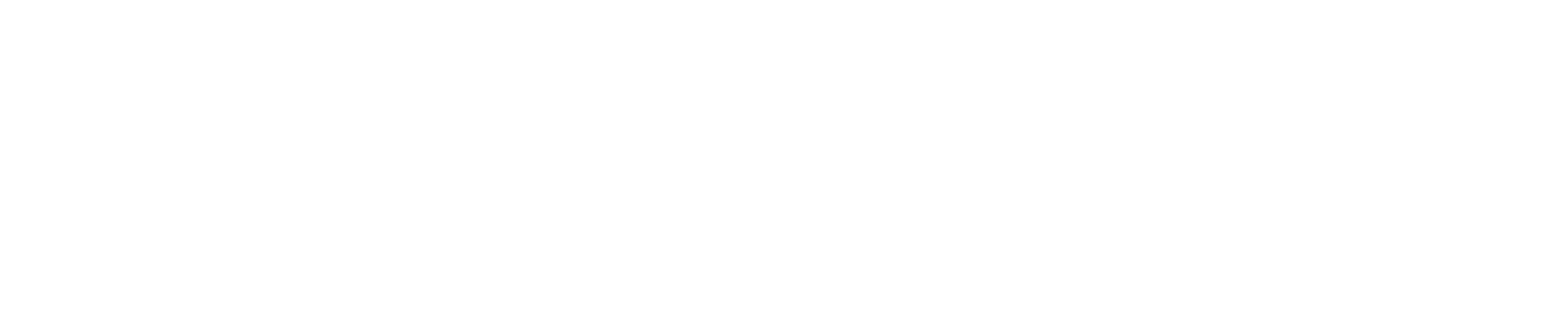 Little Blind Spot Logo