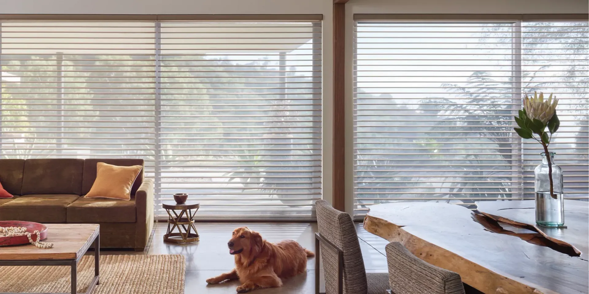 A golden dog rests on the floor of a sunny living room with large windows, a leather sofa, and a natural wood table.