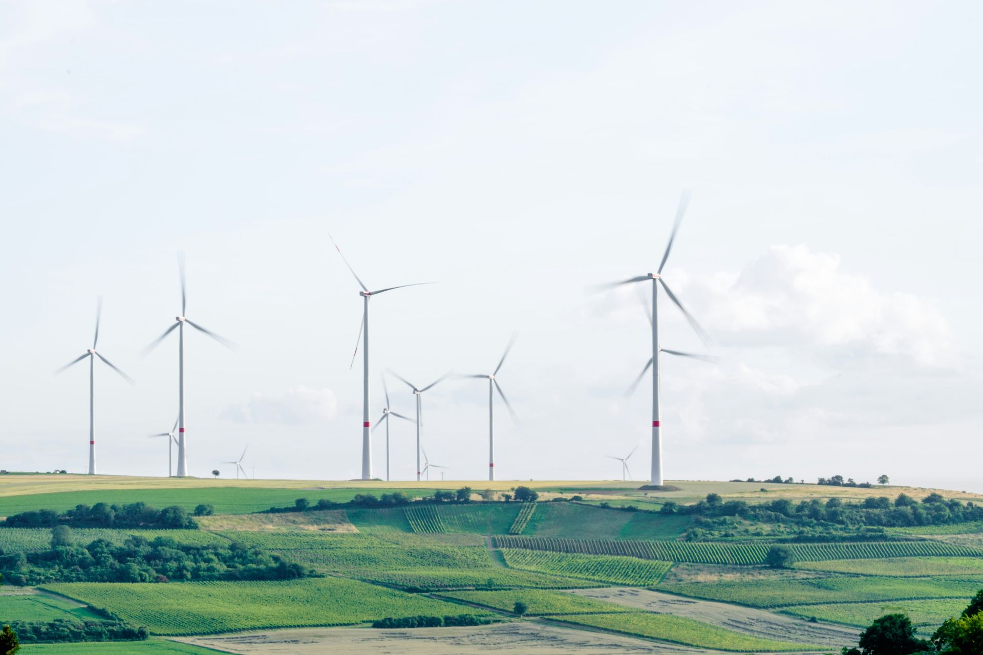 The State of UK ESG Part 1 - Raising the Bar: UK ESG Regulations and Anti-Greenwashing Rules