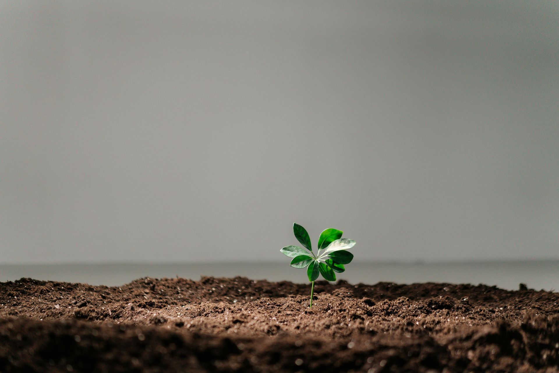 ESG: Hard to Measure, and Easier to Re-Trench