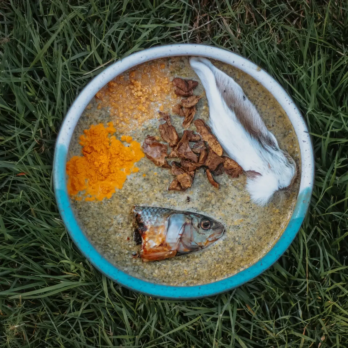 Dehydrated Rabbit Ears 2 pack - Sample