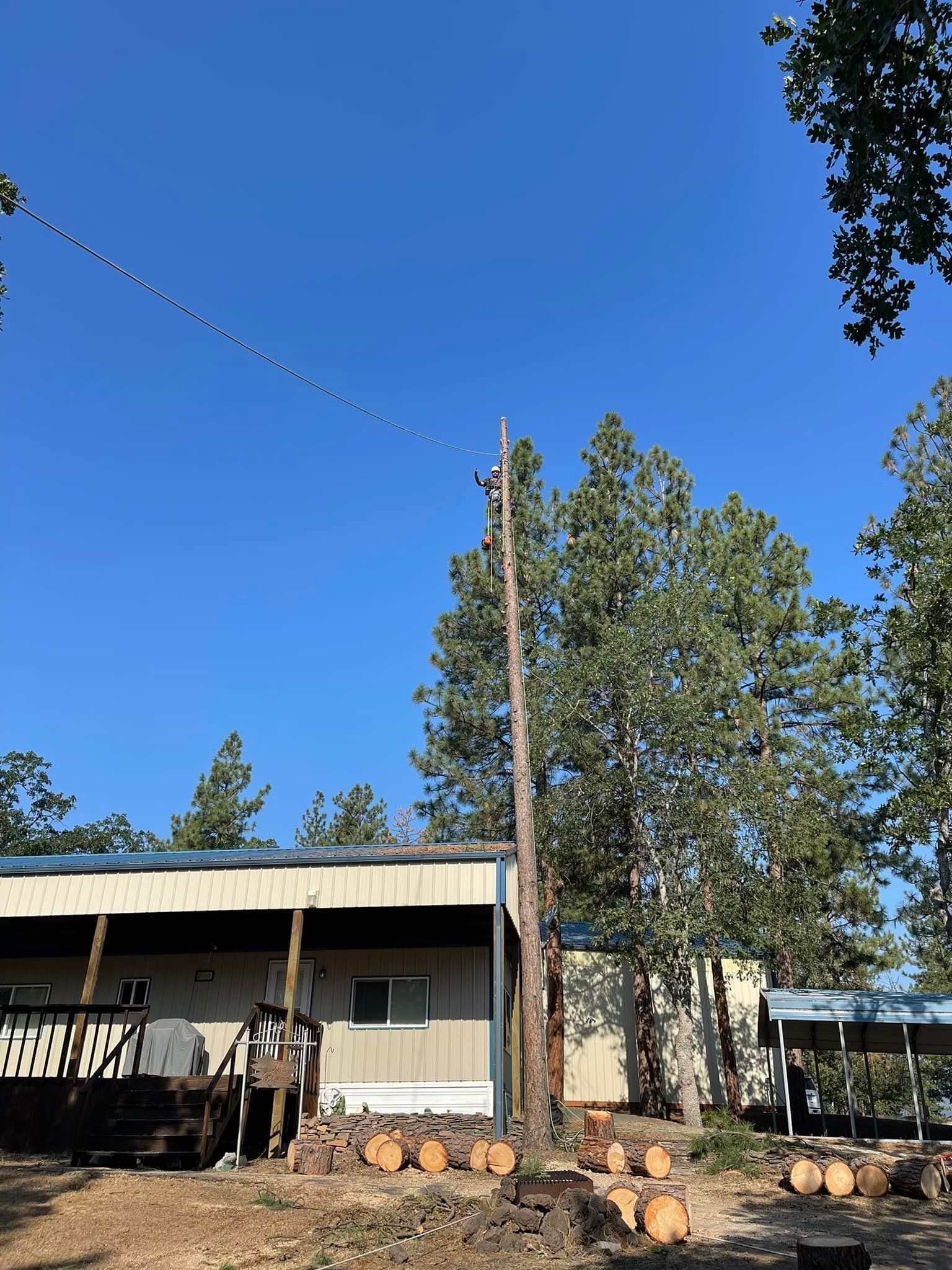 A house with a porch and a lot of logs in front of it.
