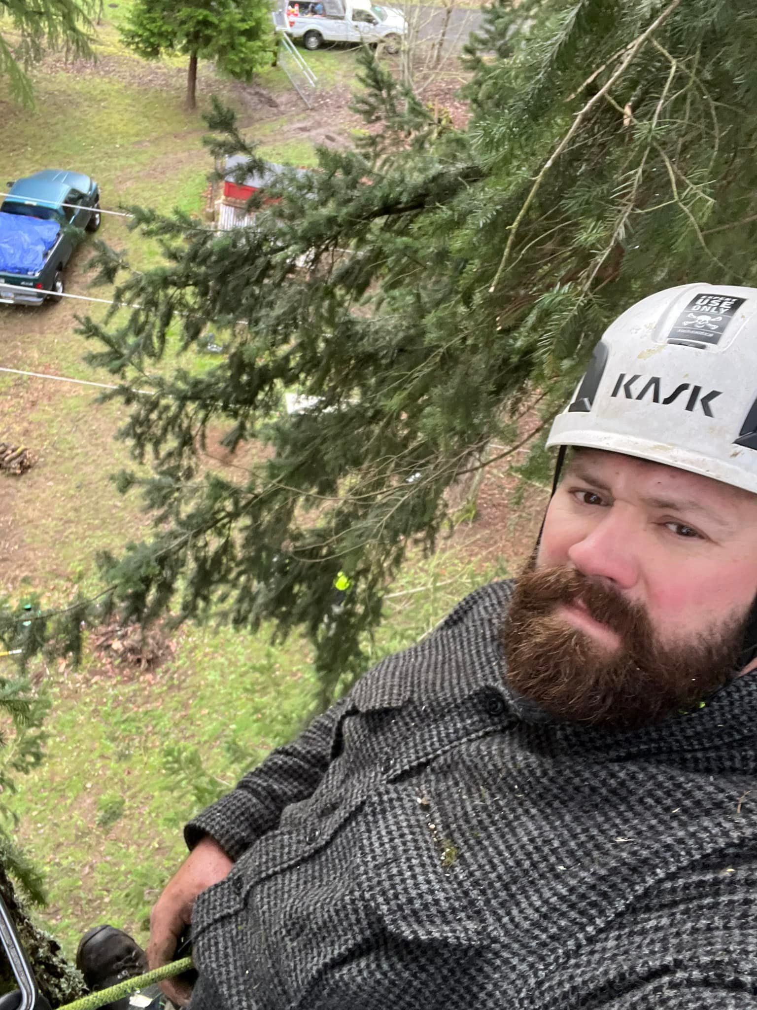 A man with a beard wearing a helmet is climbing a tree.
