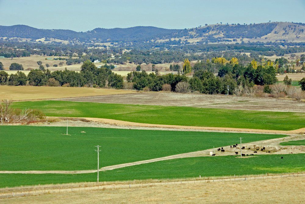 Irrigated paddocks — Agricultural Supplies in Murrurundi, NSW