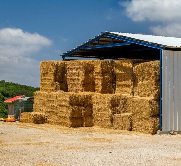 The hay storage — Agricultural Supplies in Murrurundi, NSW