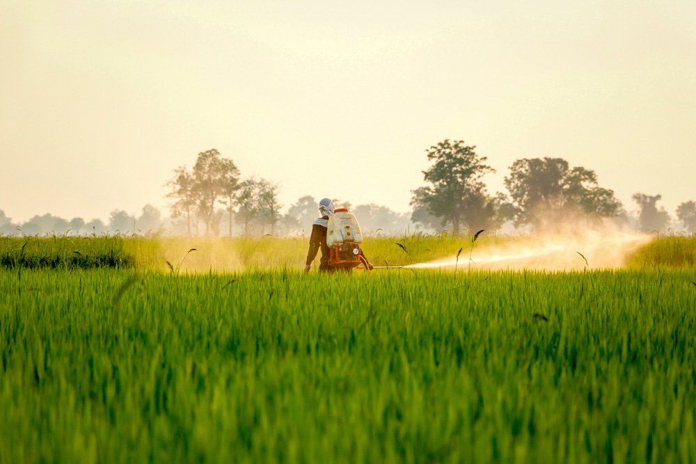 A field worker is spraying chemical fertilizer — Agricultural Supplies in Muswellbrook, NSW