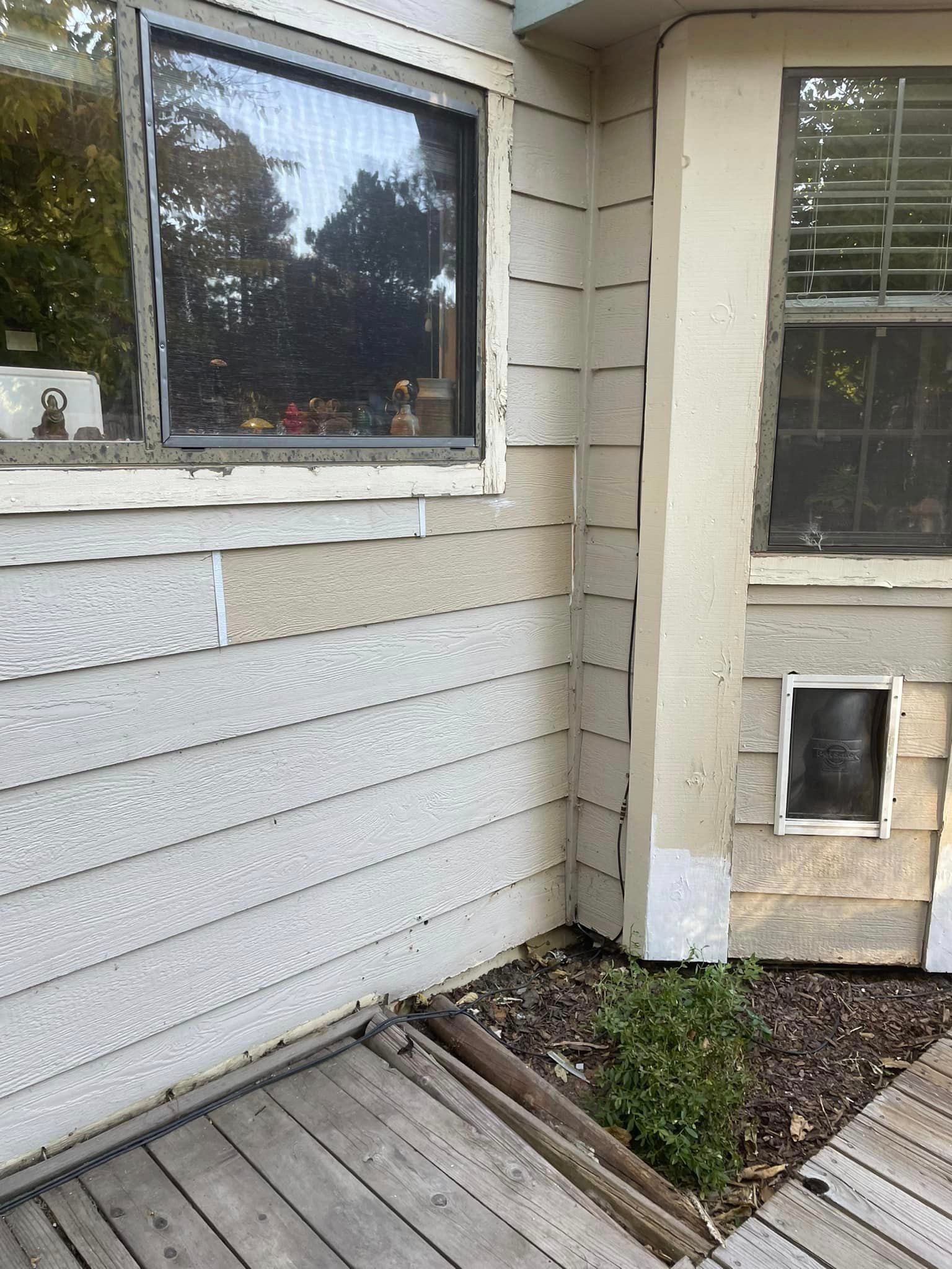 The side of a house with a window and a dog door.