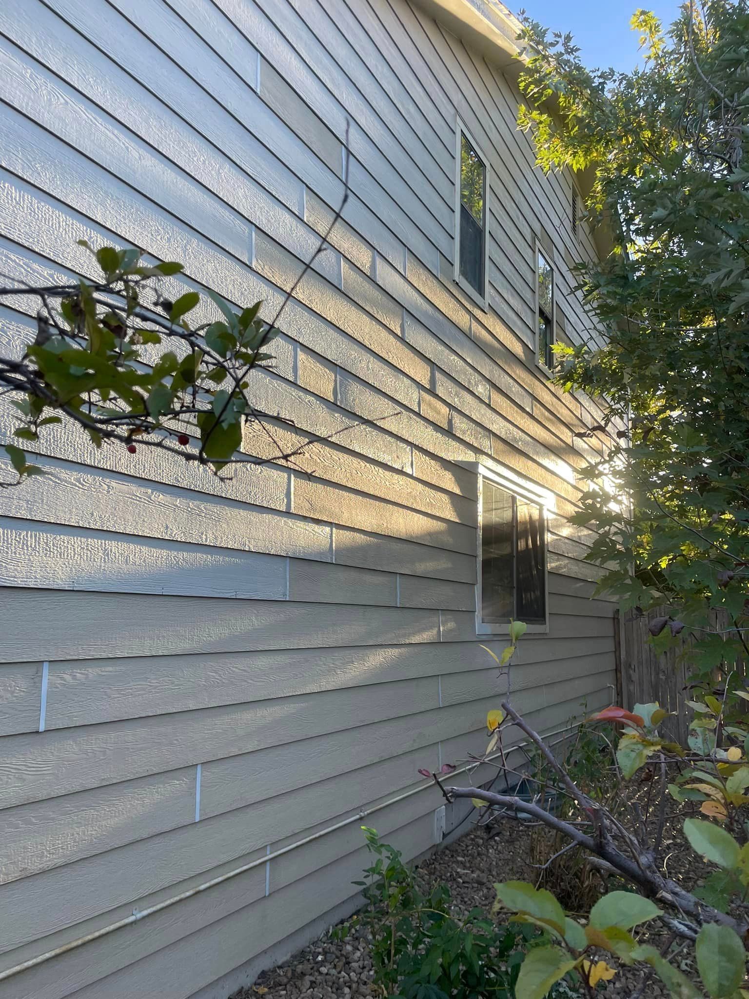 A house with a lot of windows and a tree in front of it.