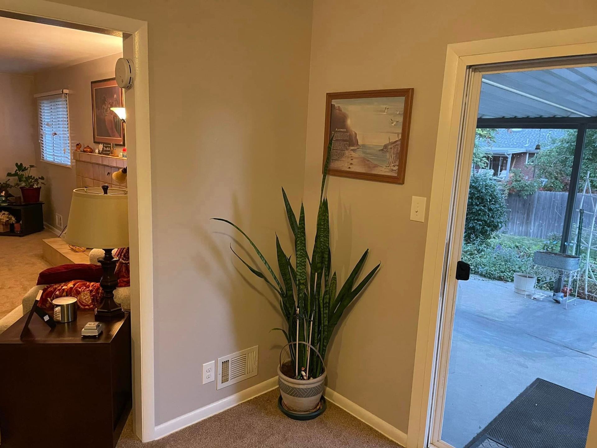 There is a potted plant in the corner of the room.