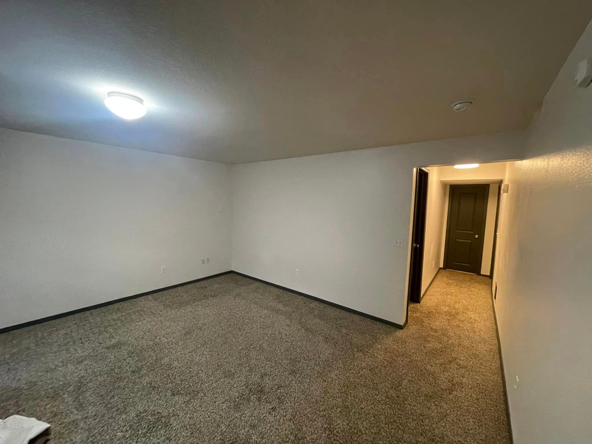 An empty living room with a carpeted floor and white walls.