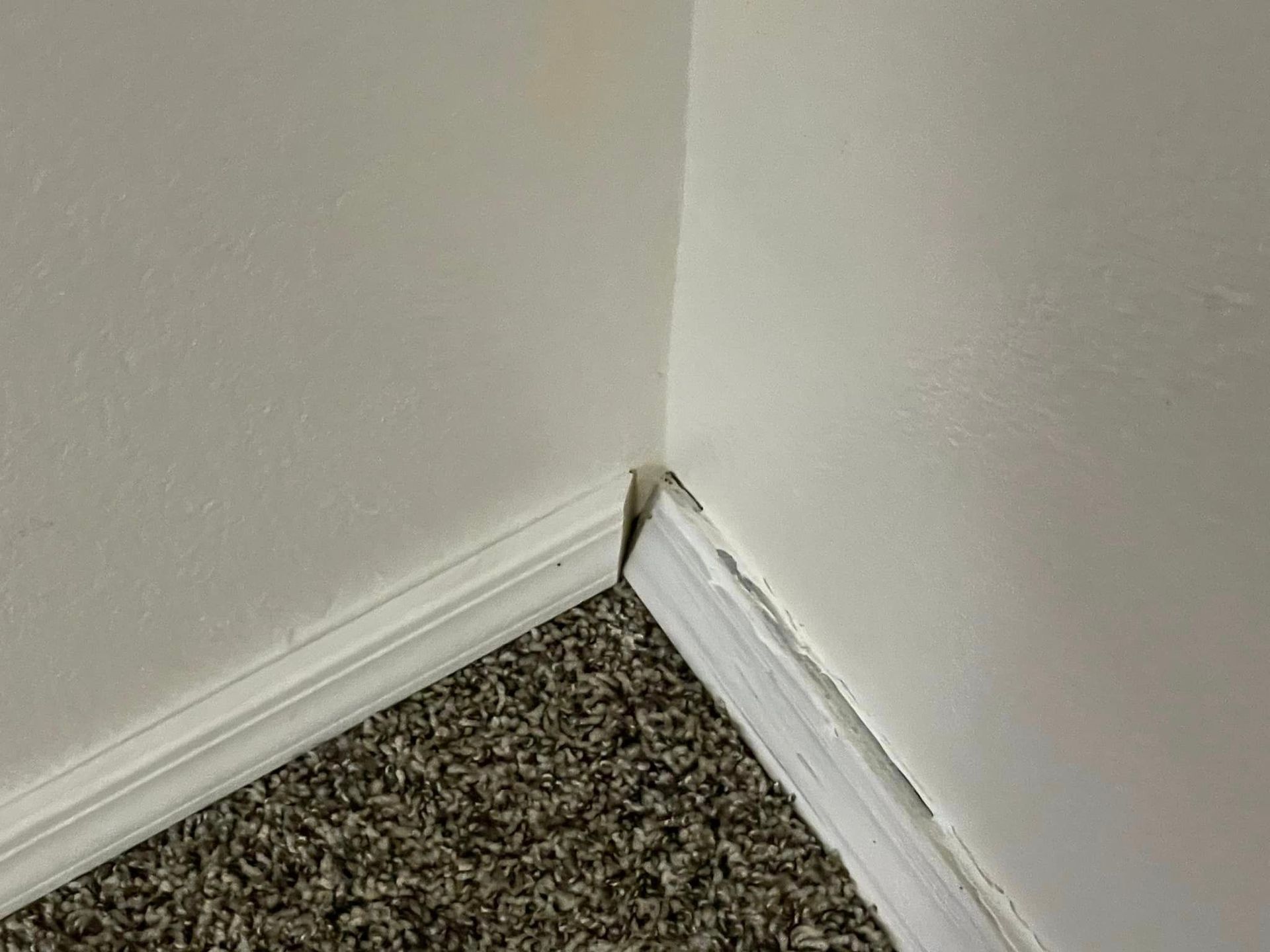 A corner of a room with a carpeted floor and a white wall.