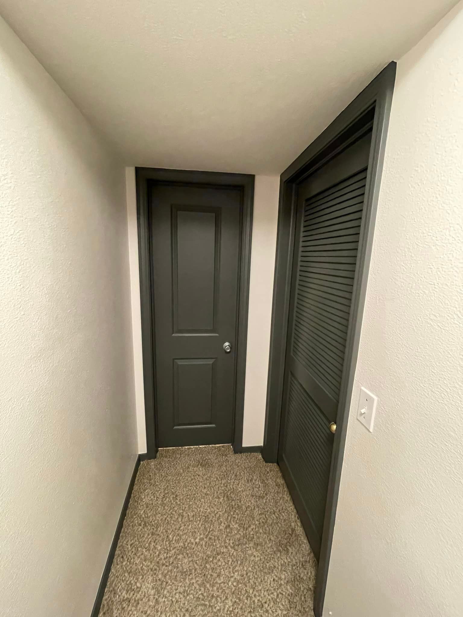 A hallway with two black doors and a carpeted floor.