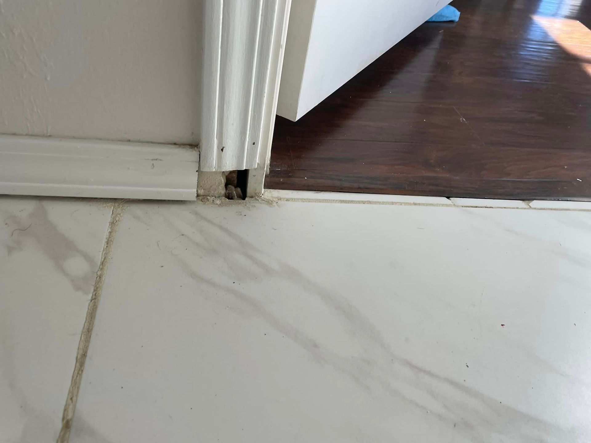 A close up of a tiled floor next to a door.