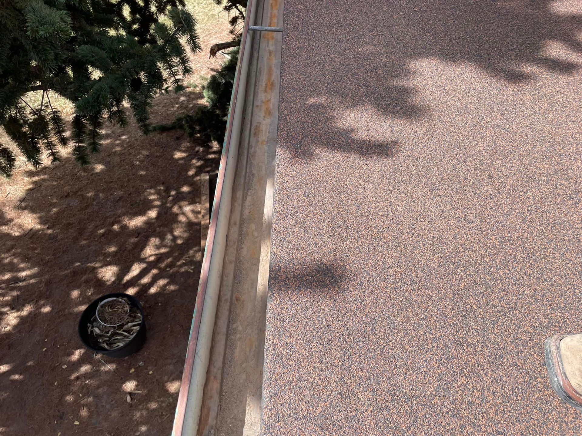 A person is standing on a roof next to a tree.