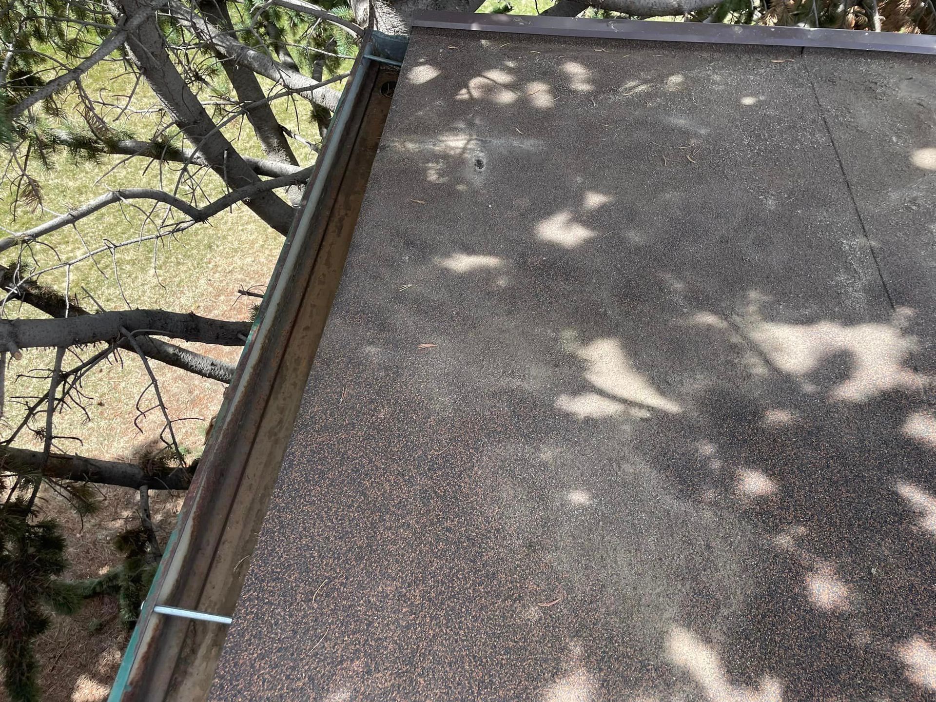 A close up of a roof with a tree in the background.