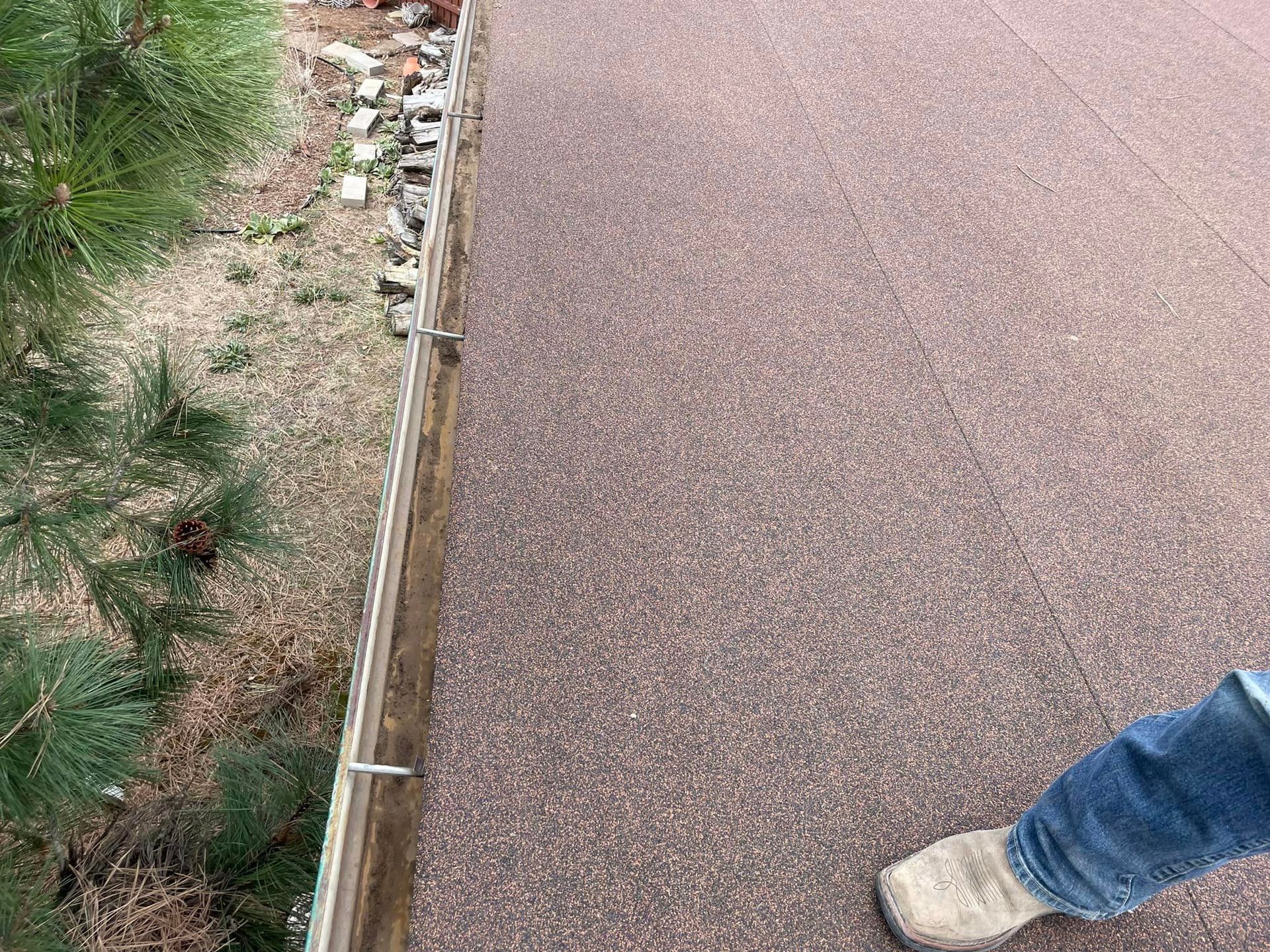 A person is standing on a concrete walkway next to a tree.