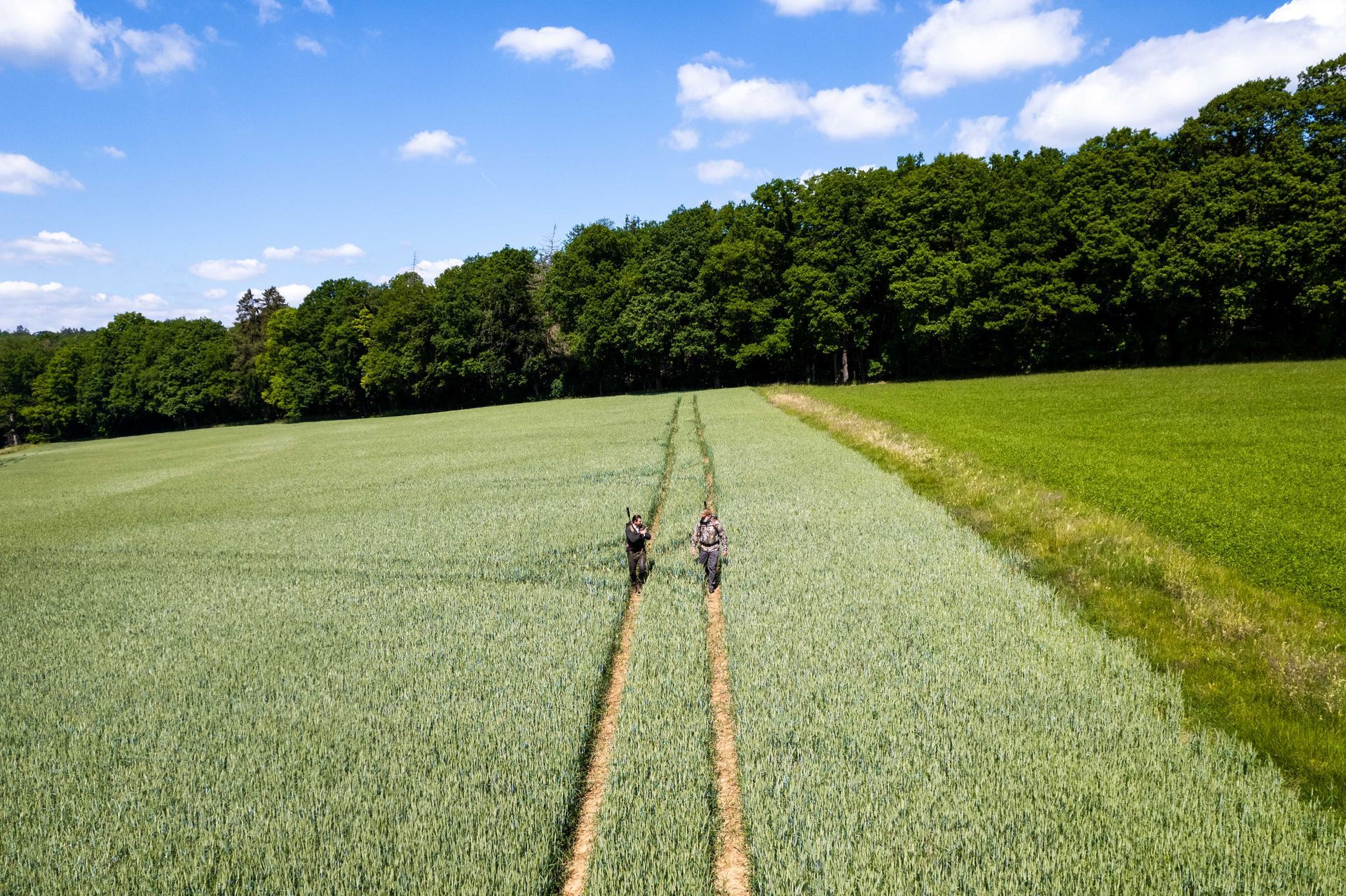 To personer på motorsykler sykler nedover en grusvei gjennom et grønt jorde, med en rekke trær i bakgrunnen under en blå himmel.