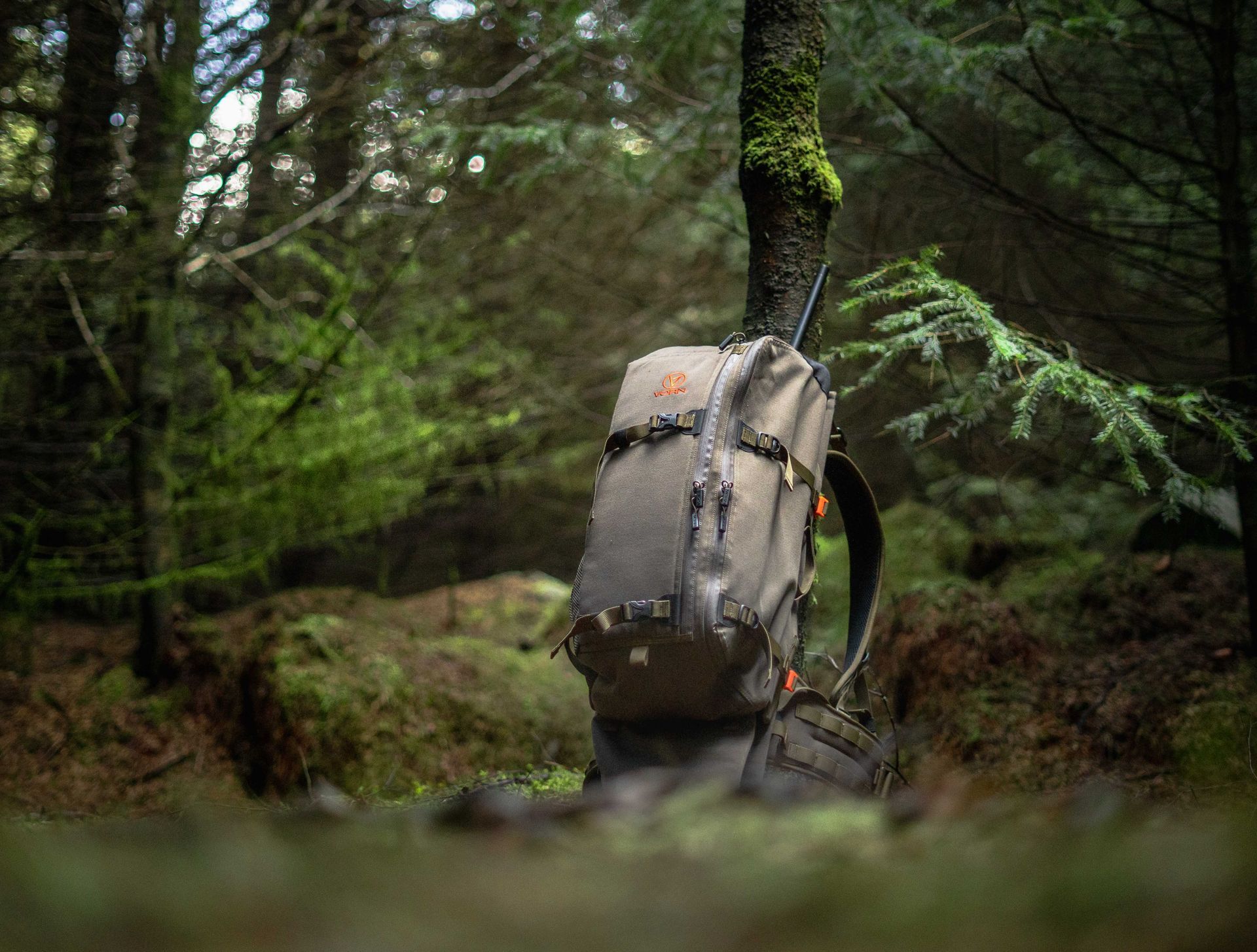 En mørkegrønn ryggsekk lener seg mot et tre i en moseskog. En annen liten sekk ligger i nærheten.