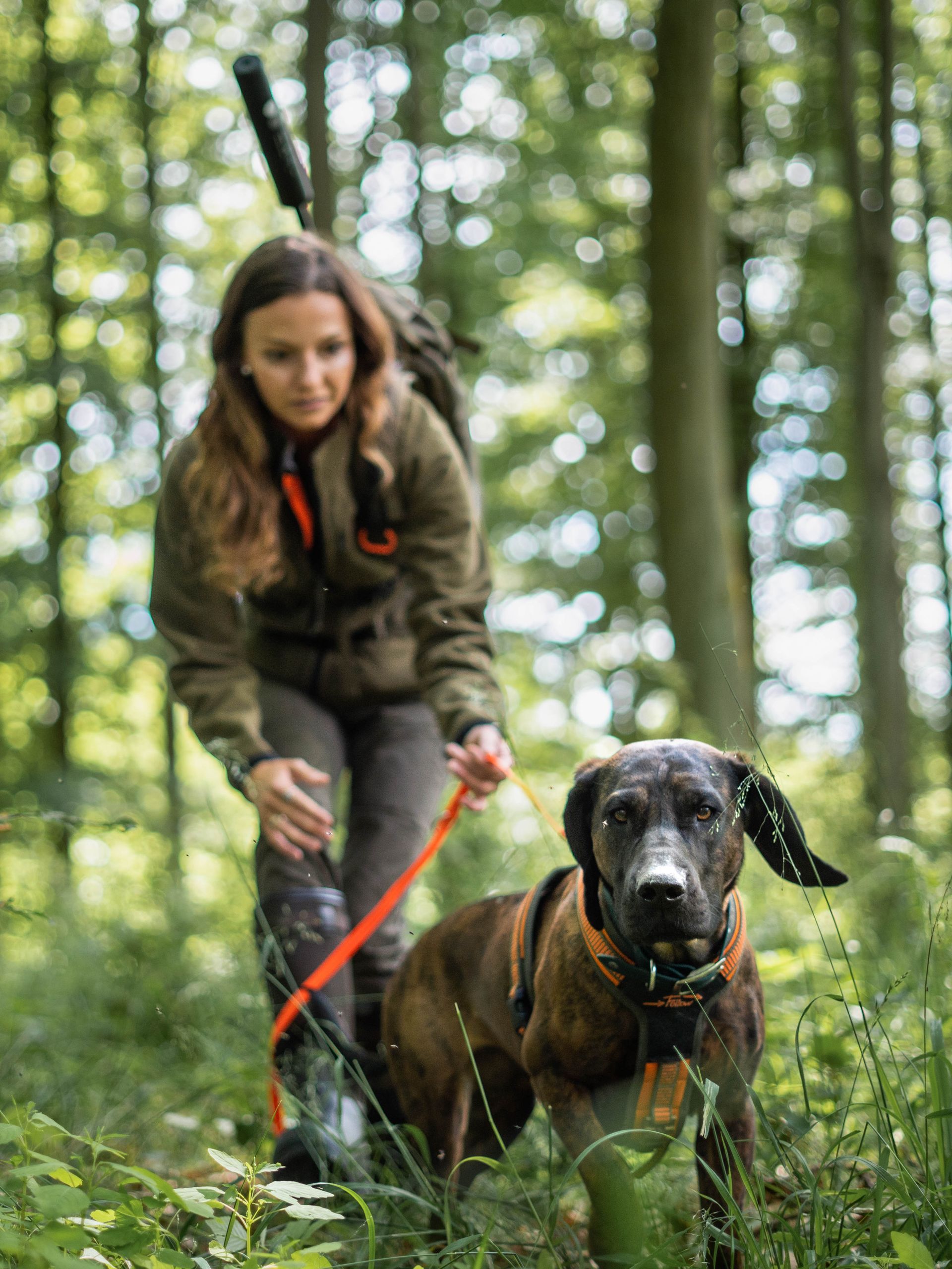 Kvinne i jaktutstyr går gjennom en skog og leder en stribet hund i bånd; en rifle er festet til sekken hennes.