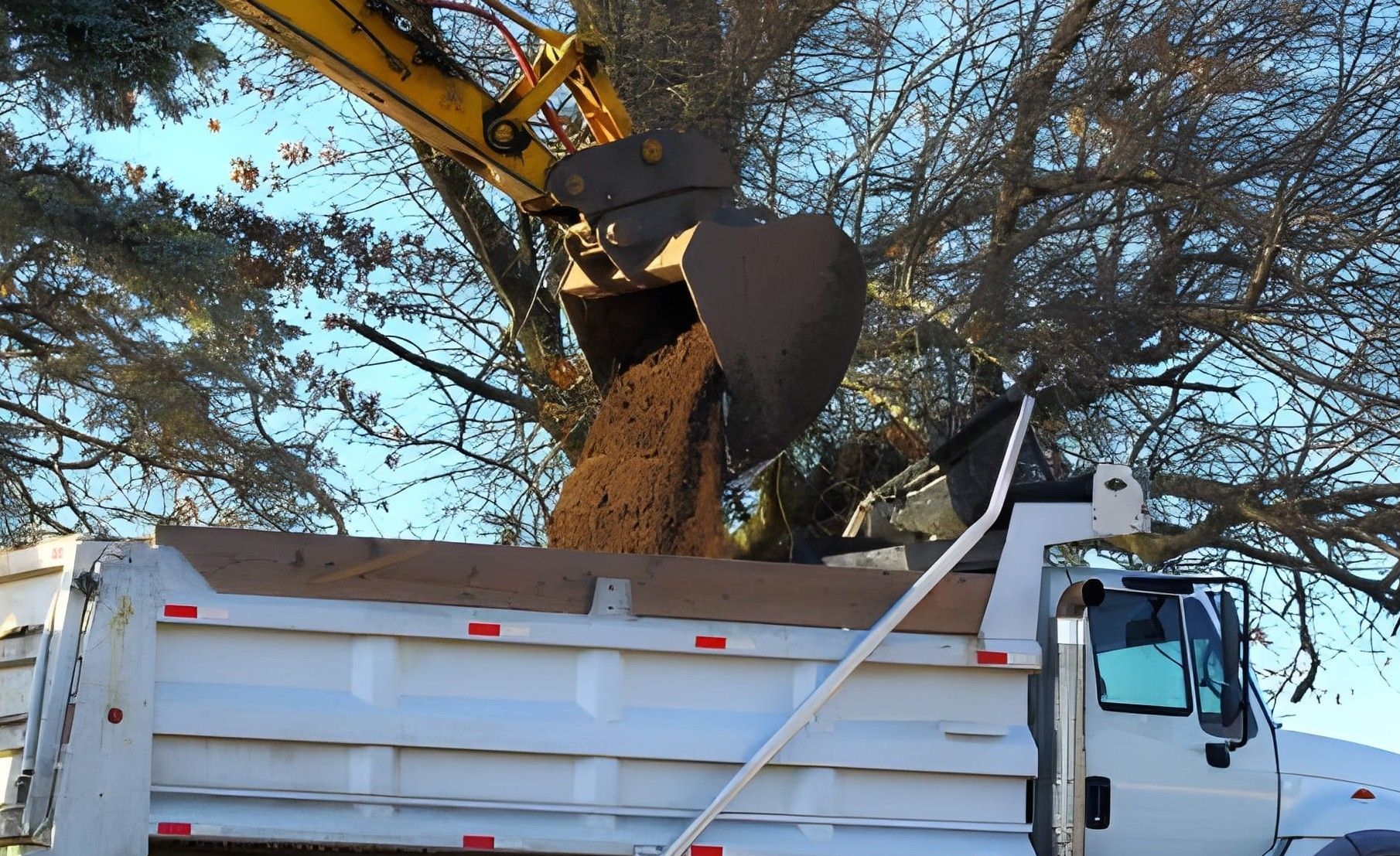 Yellow skid-steer loader on dirt, with bucket full. Trees in the background.