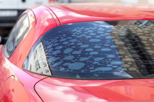 Red car's rear window with large, blue-tinted spots, possibly from film degradation. Red car's rear window with large, blue-tinted spots, possibly from film degradation.