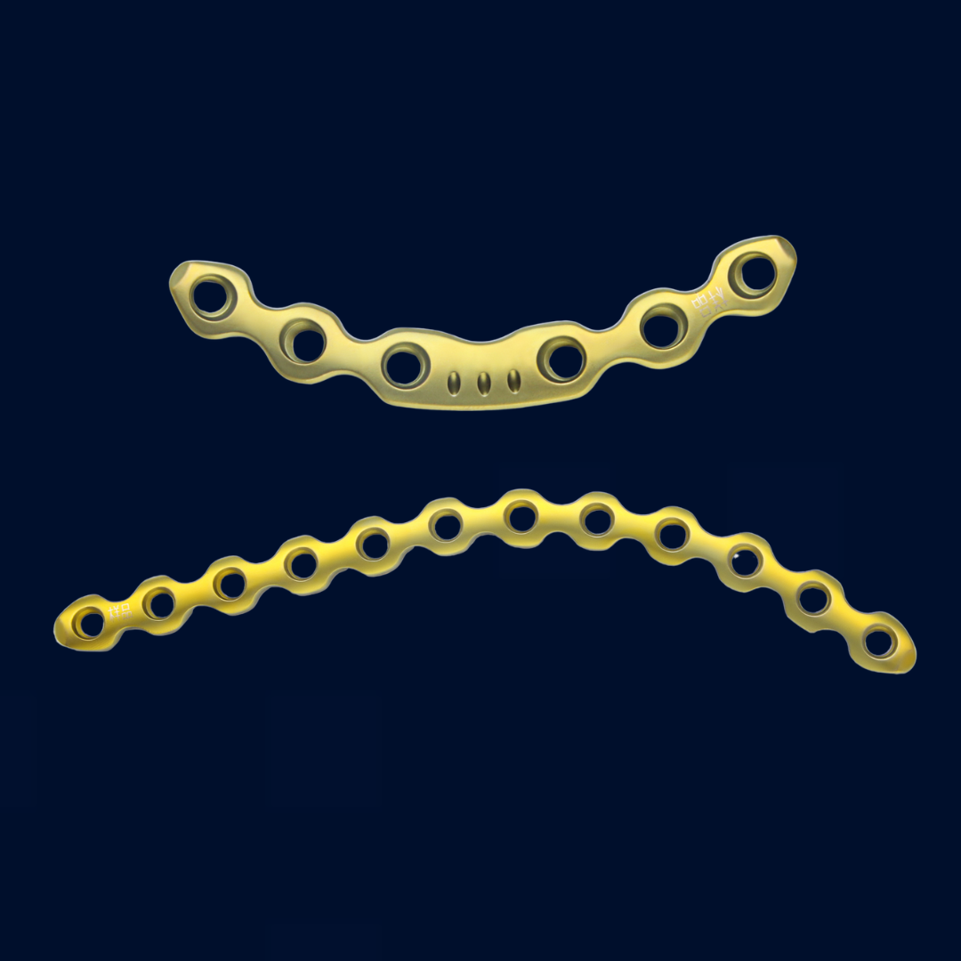 Una placa de metal con tornillos fijados a ella sobre un fondo blanco.