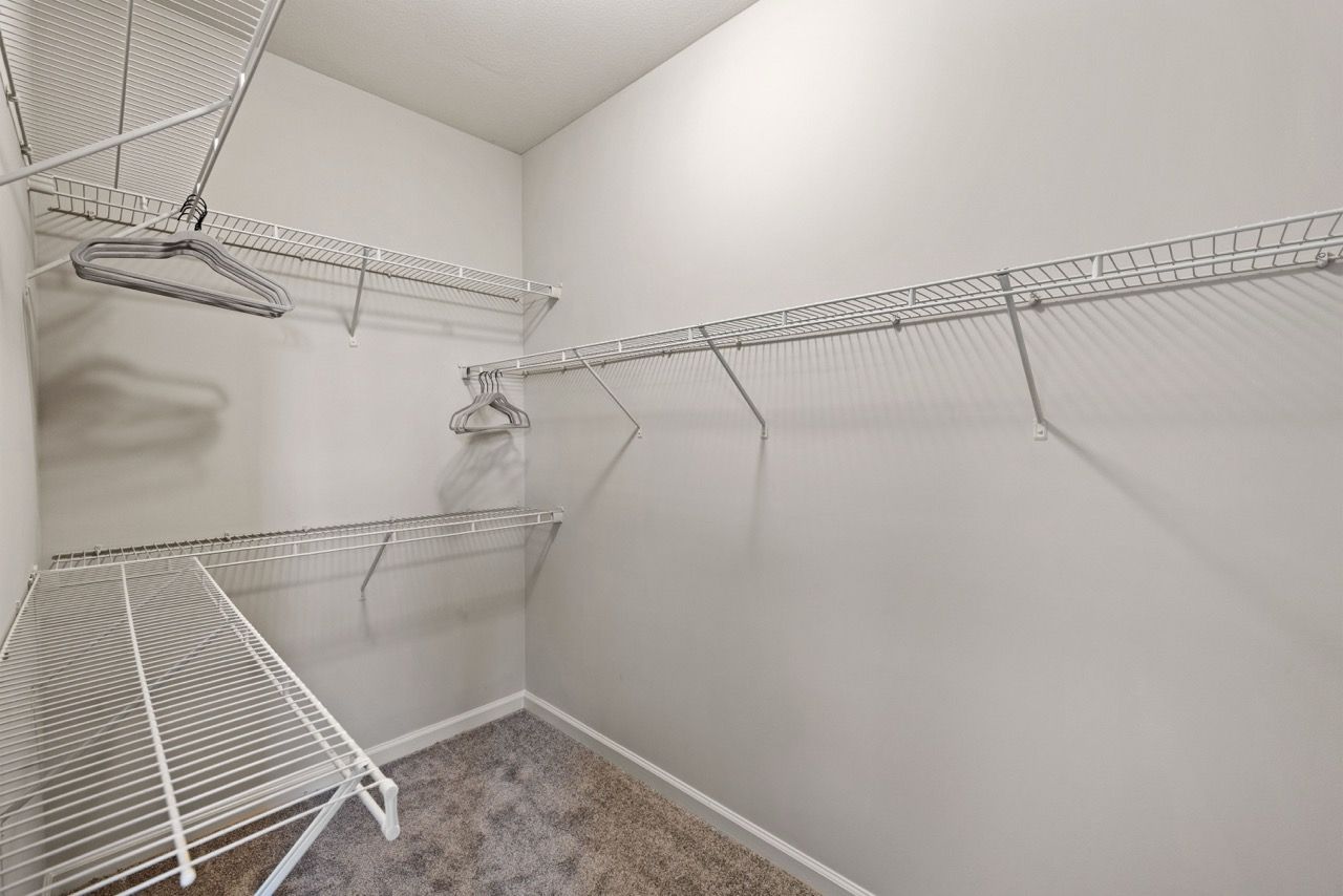 Empty walk-in closet with white wire shelving and a few hangers on a carpeted floor.