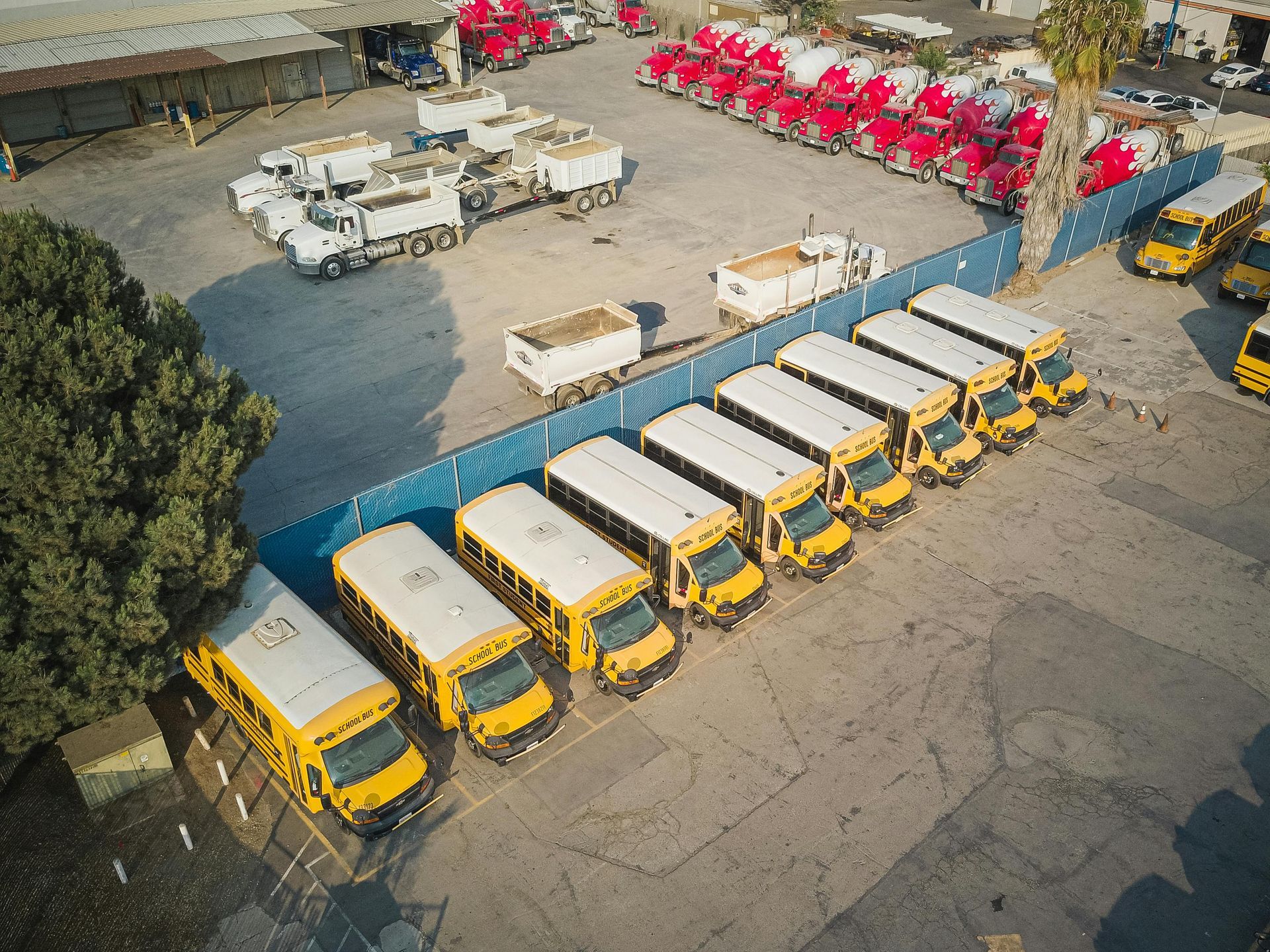 A row of school buses are parked in a parking lot.