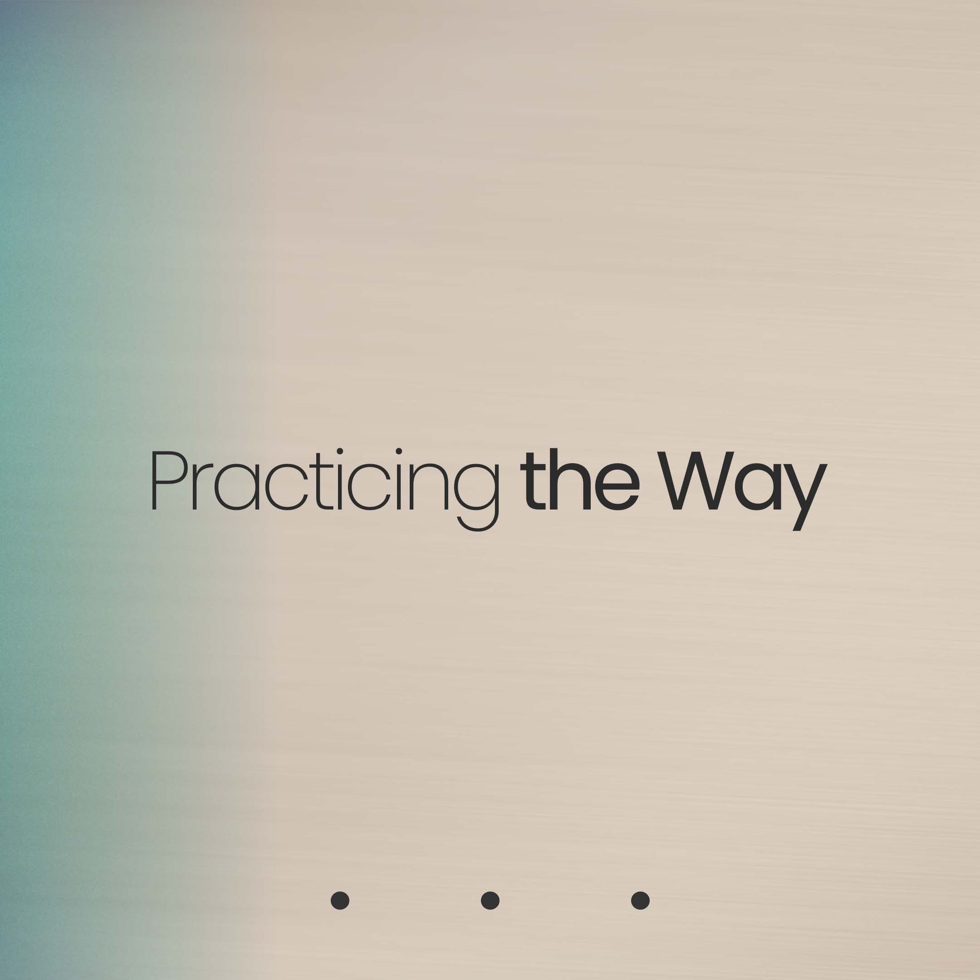 Practicing The Way 
