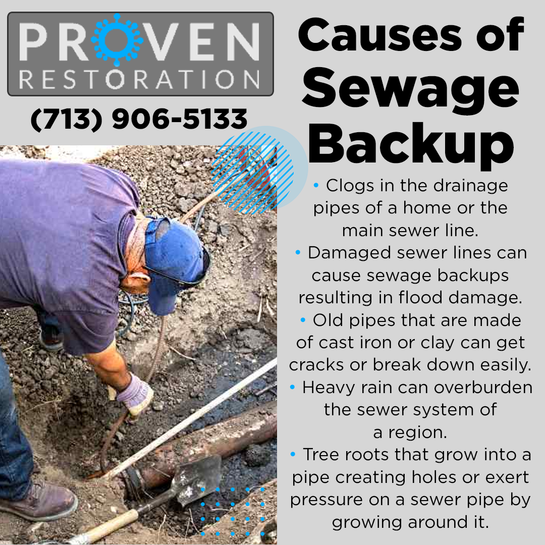 Sewer Line Backup Cleanup