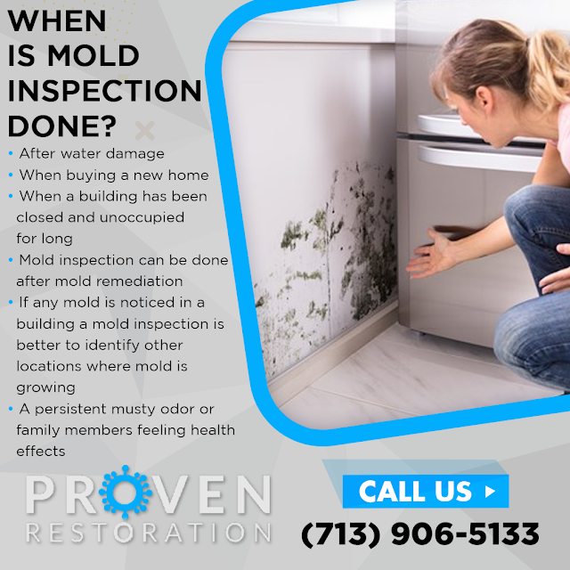 Woman looking at mold on a wall