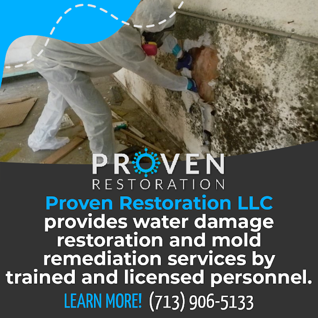 Mold remediation services by trained and licensed personnel