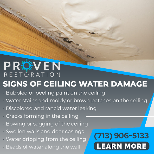 Ceiling Water Damage