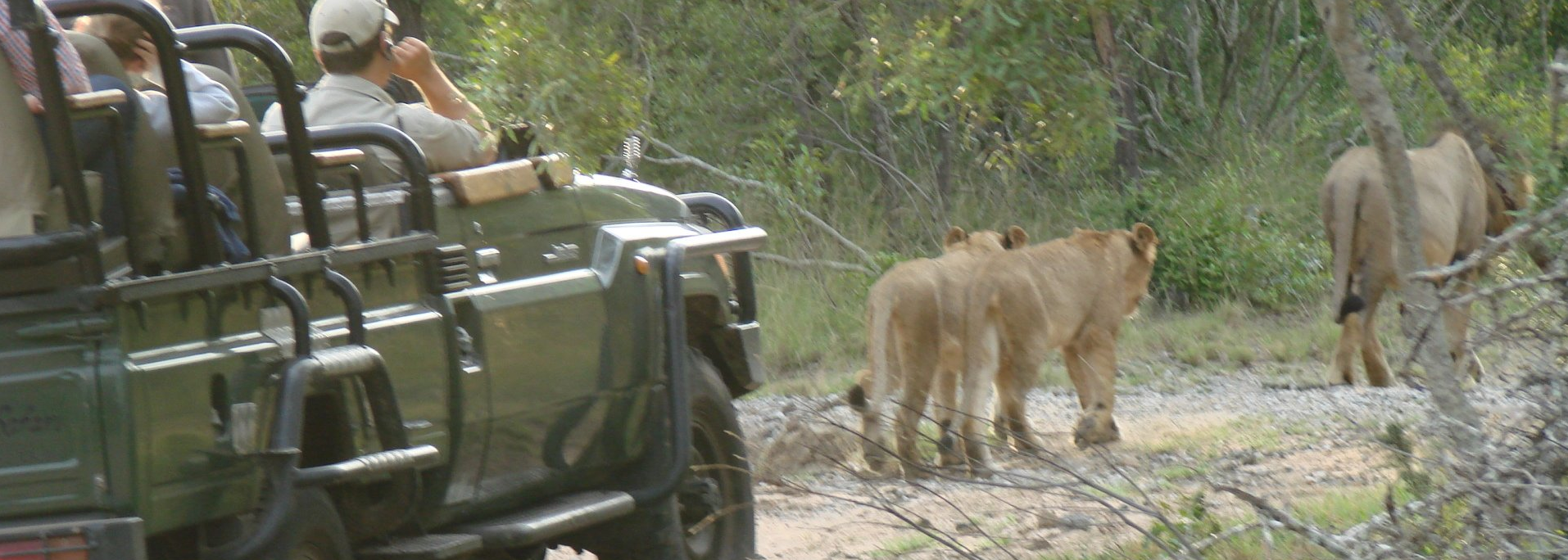 Big 5 on African Safari
