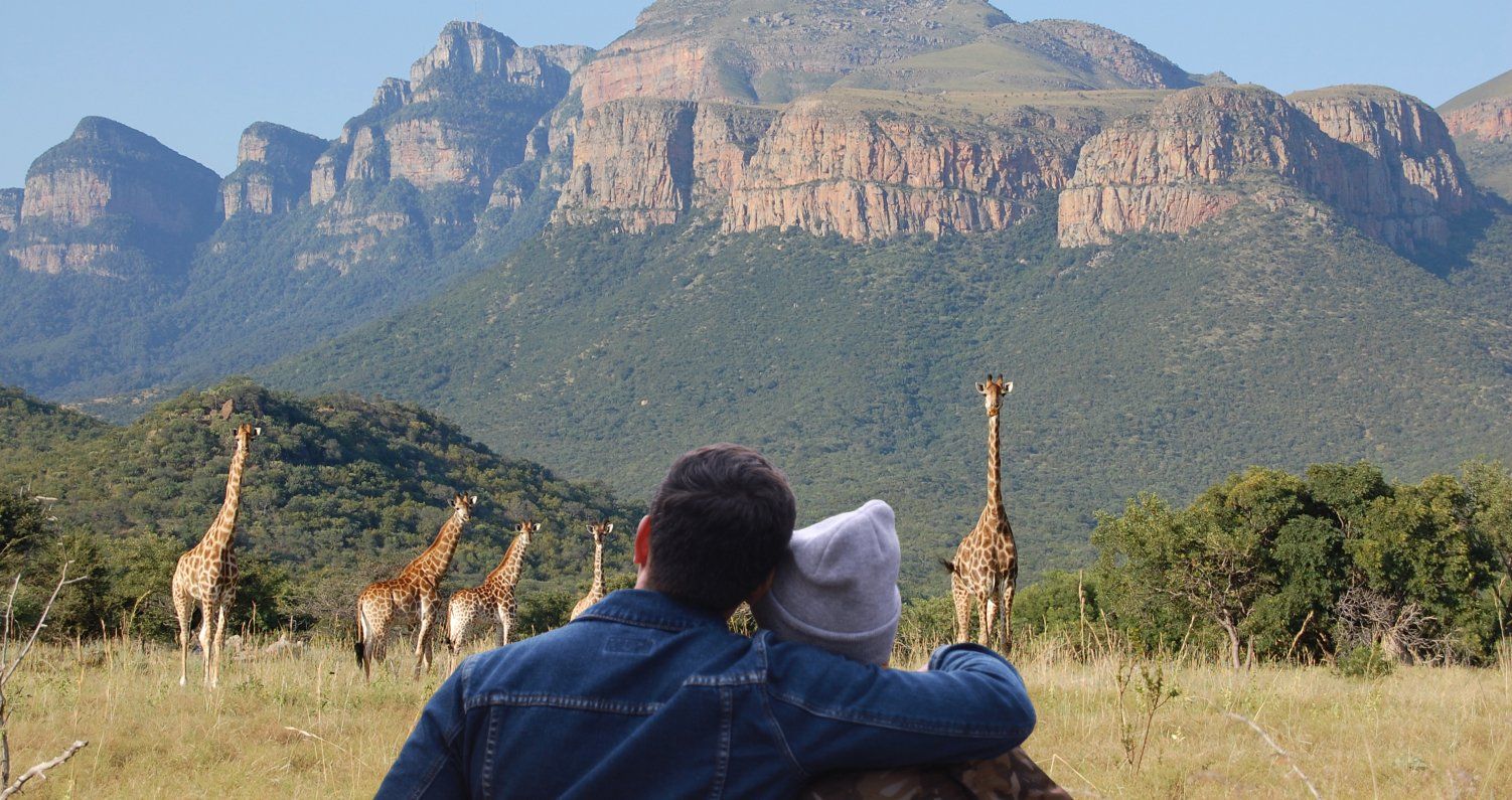 Bushwillow Villa - Giraffes in the distance