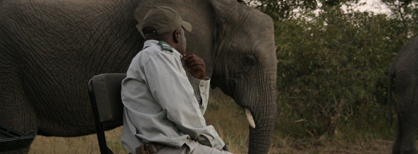 A man is sitting in a chair next to an elephant.