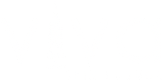 Viva Skin Lounge logo