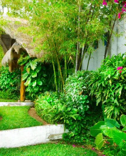 A lush green garden with a thatched hut in the background