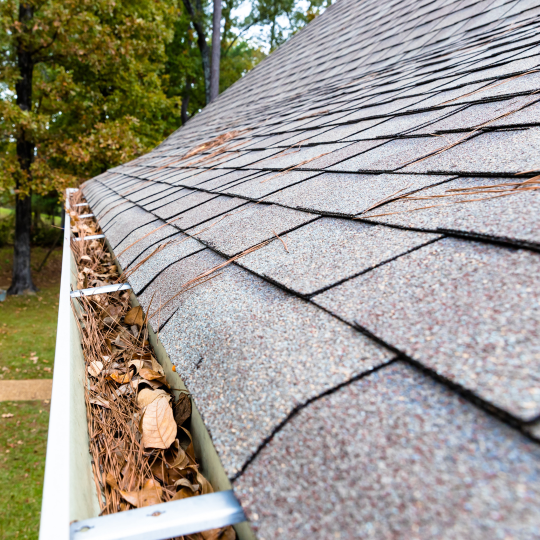 Pine needles and pollen buildup in gutters on a residential roof in Warner Robins, GA