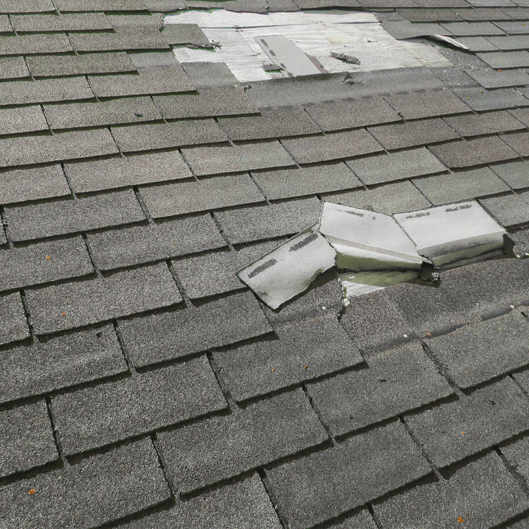 Missing and torn asphalt shingles caused by thermal shock on a Warner Robins roof