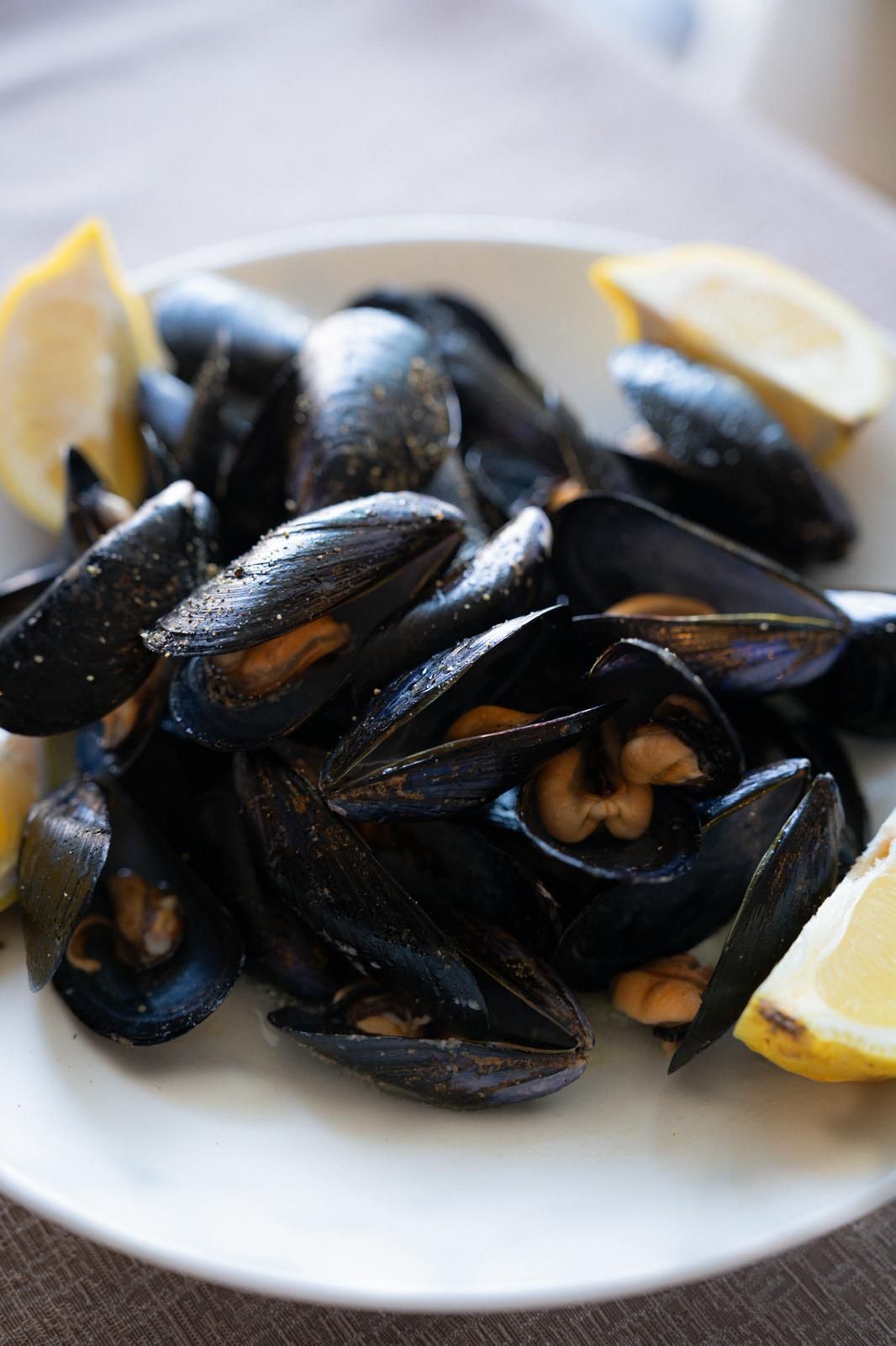 cozze