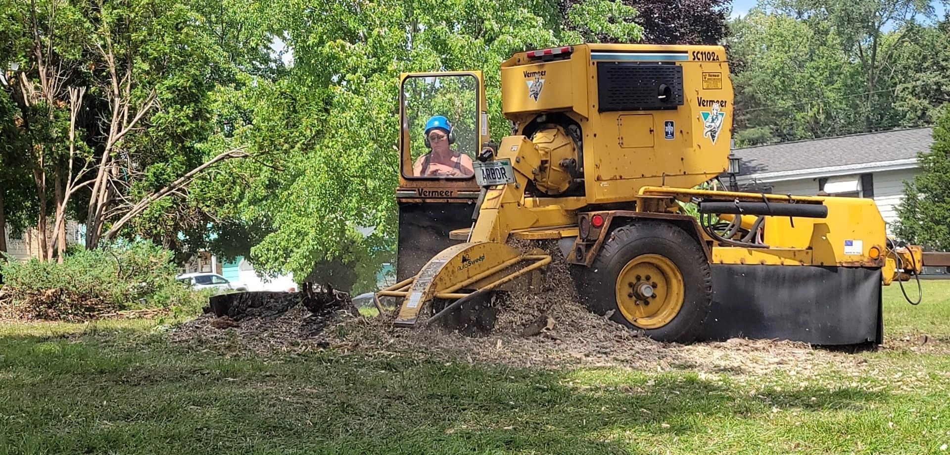 Stump Removal | Minneapolis, MN | Arbor Tree Service