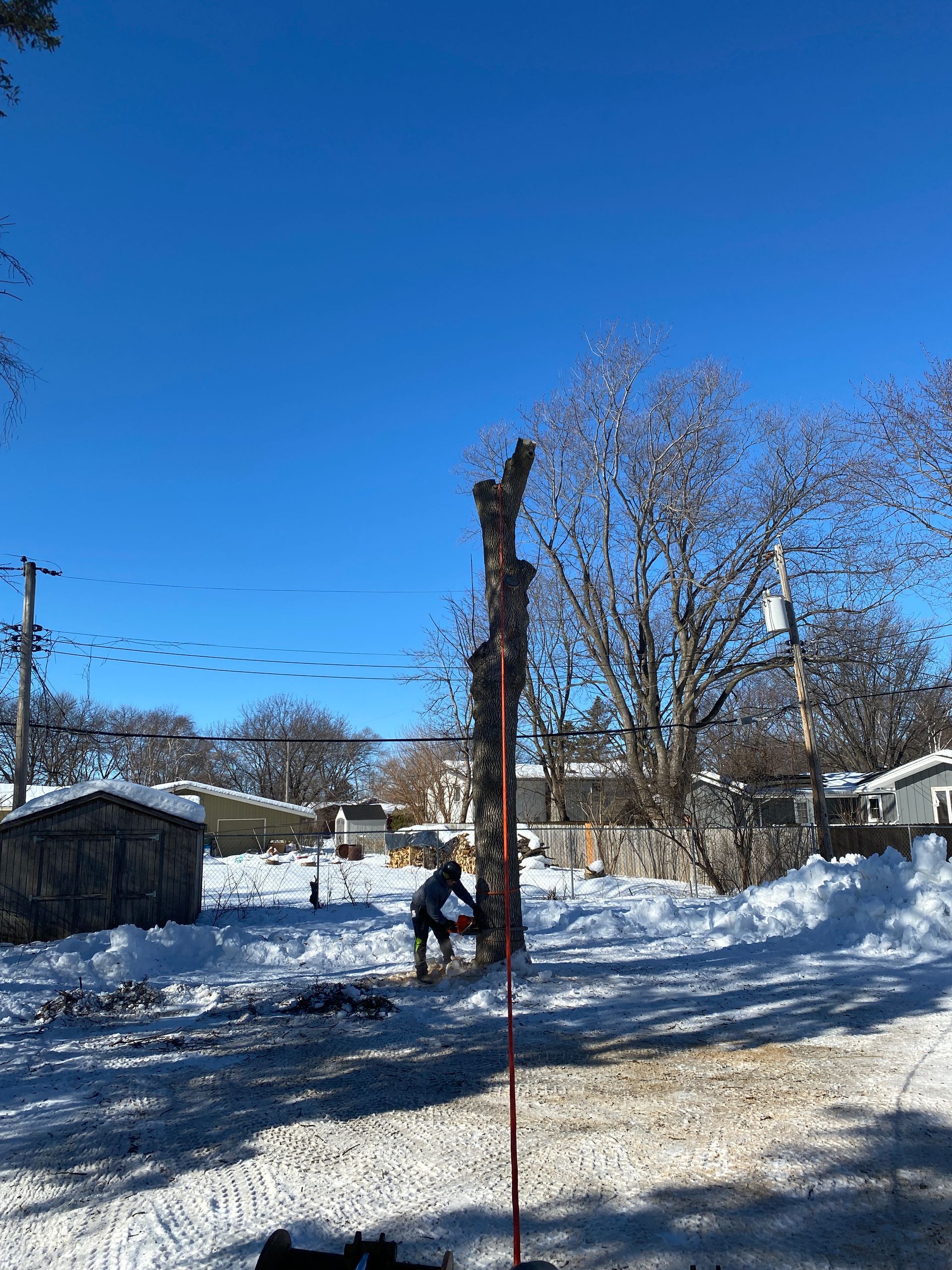 A Man is Cutting Down a Tree in the Snow  | Minneapolis, MN | Arbor Tree Service