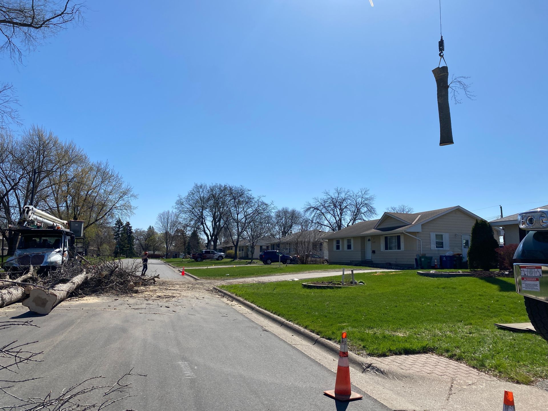 Fallen Tree on the Road | Minneapolis, MN | Arbor Tree Service
