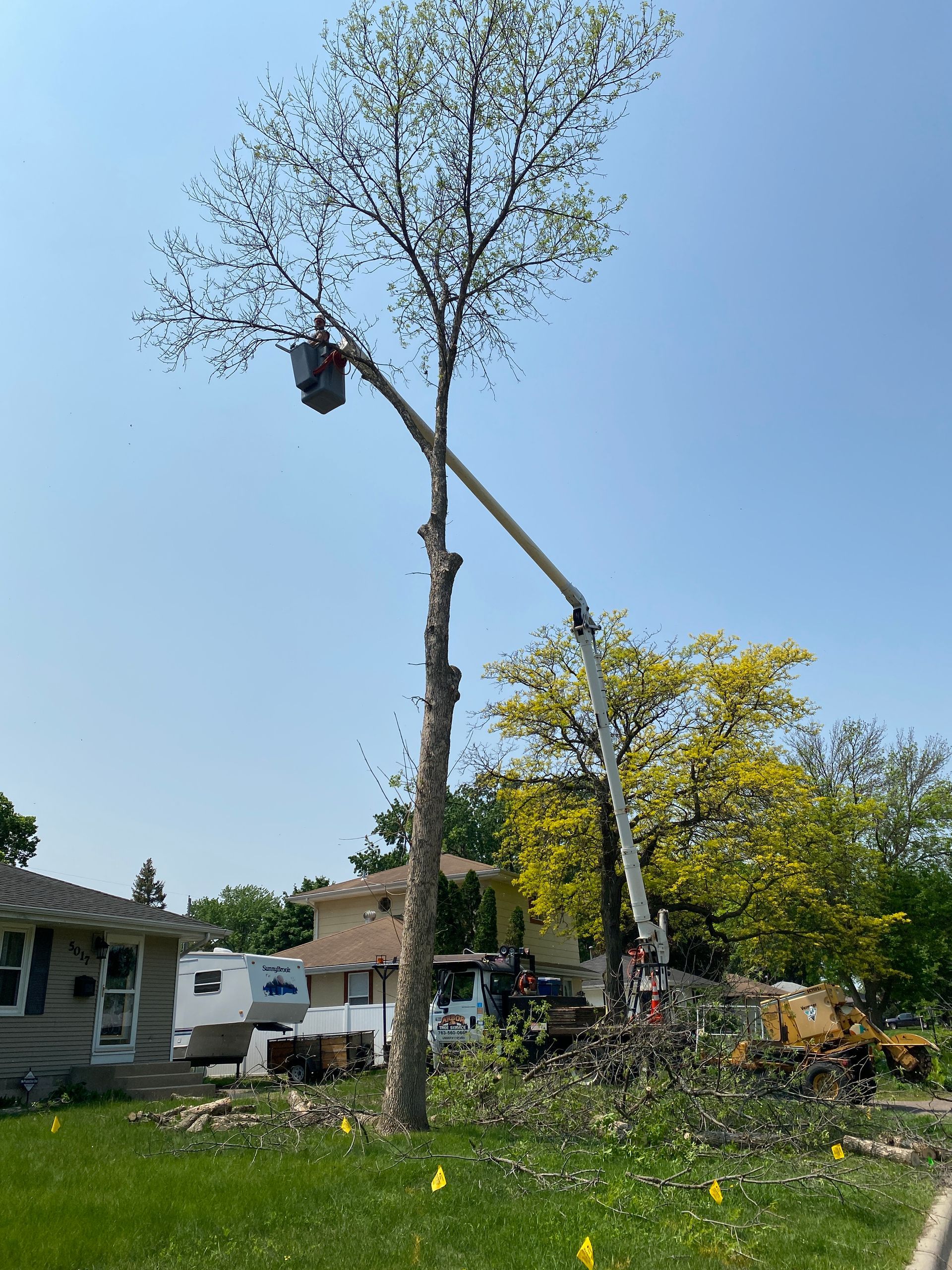 A Man Cutting a Tree with a Crane in Front of a House | Minneapolis, MN | Arbor Tree Service