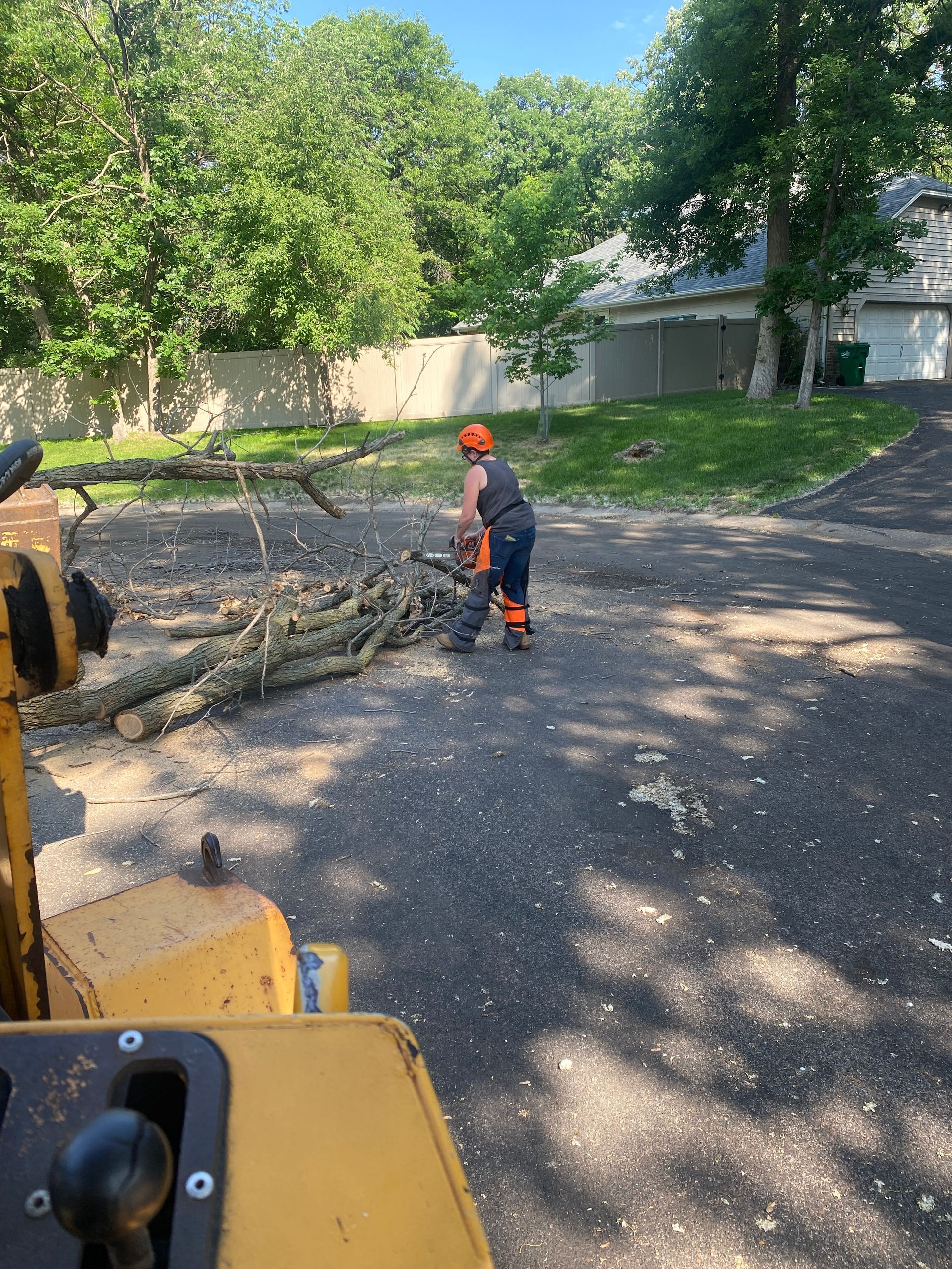  Man Cutting Trees Using a Chainsaw | Minneapolis, MN | Arbor Tree Service