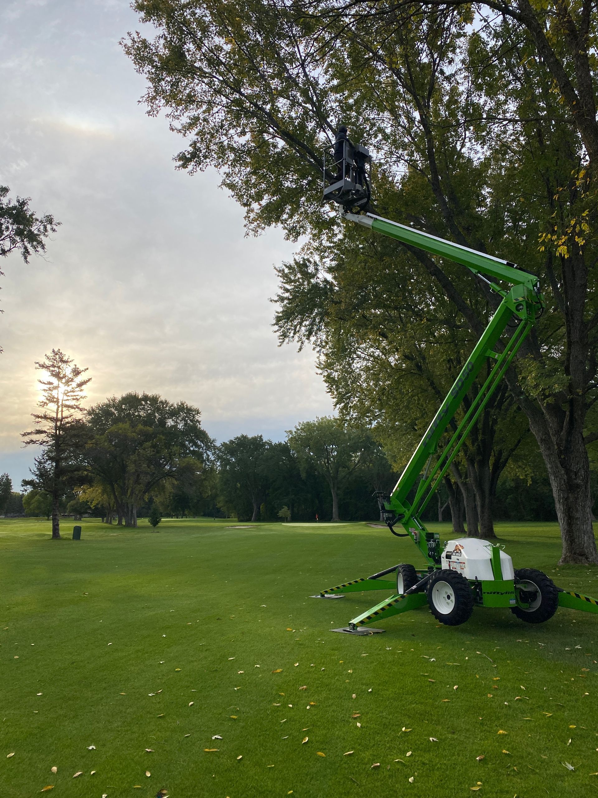Man on a Crane | Minneapolis, MN | Arbor Tree Service