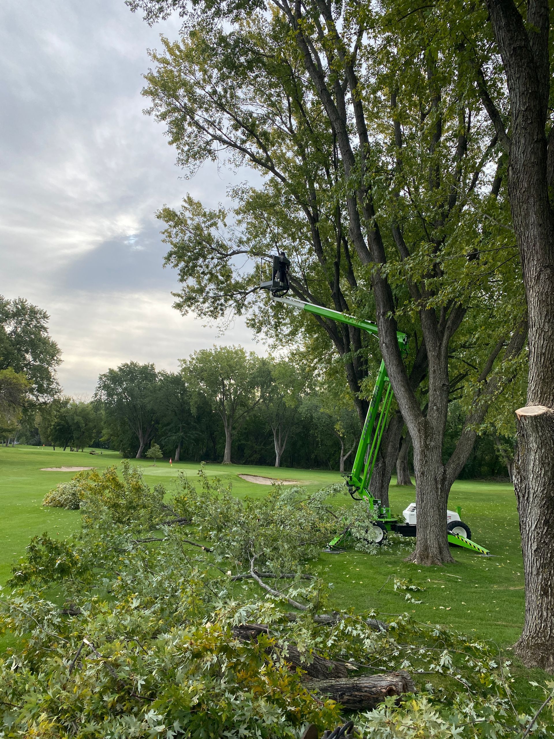 Man on a Crane Trimming a Tree | Minneapolis, MN | Arbor Tree Service