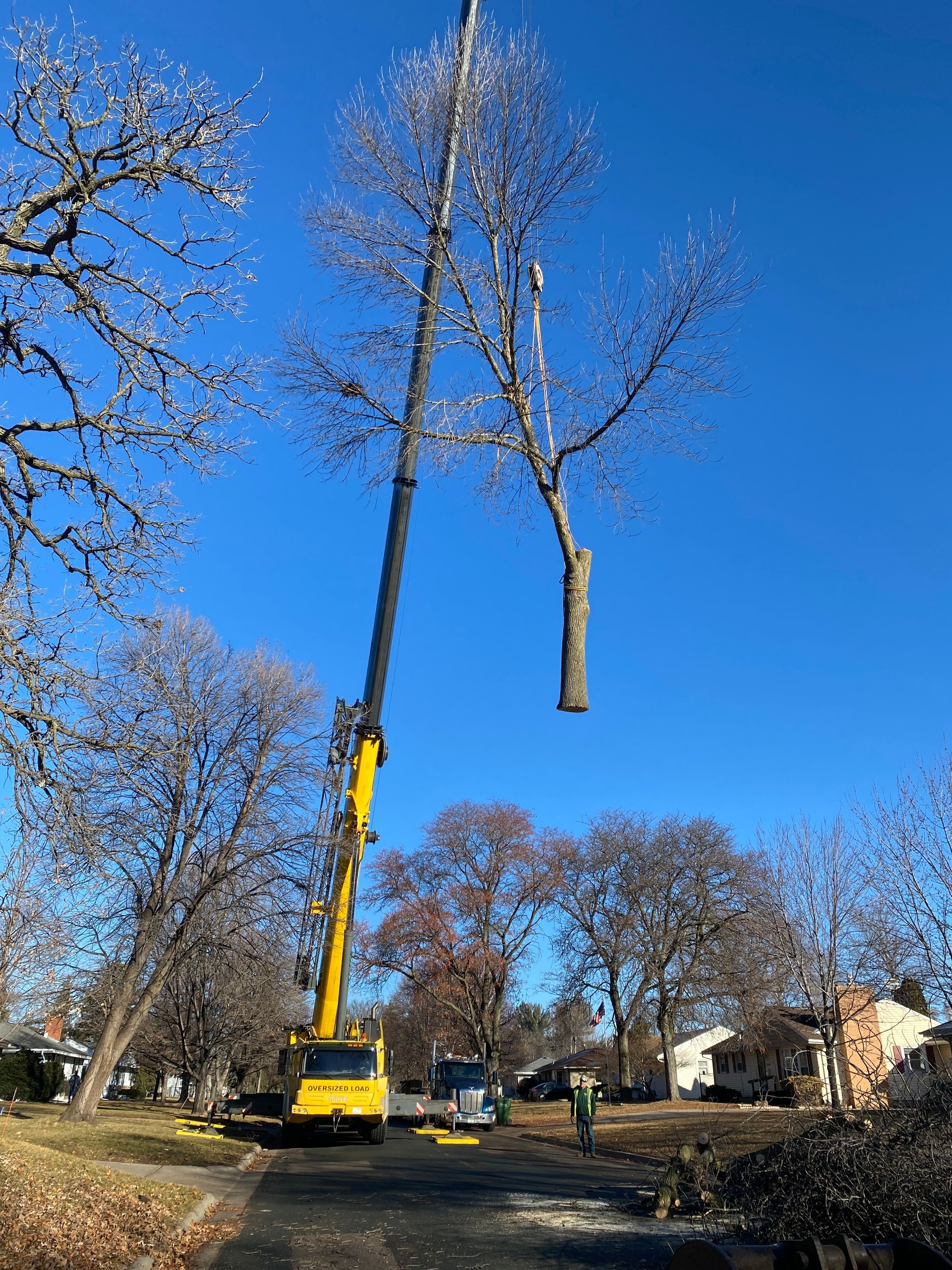 Yellow Crane Lifting a Tree Trunk | Minneapolis, MN | Arbor Tree Service